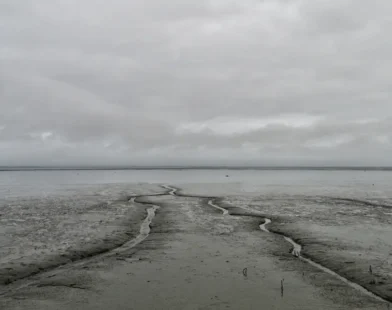 terra desolada representando o milenio