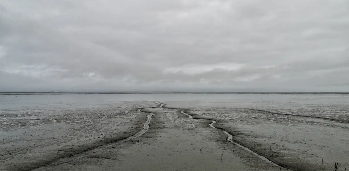 terra desolada representando o milenio