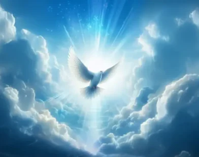 o fruto do Espírito Santo ilustação usando o simbolo de pomba